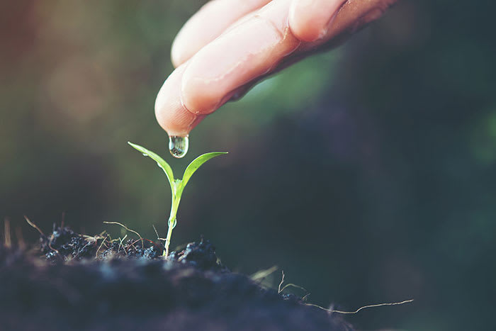 Uma abordagem ética à proteção ambiental