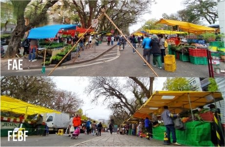 Feiras Ecológicas da Redenção: as gigantes da América Latina