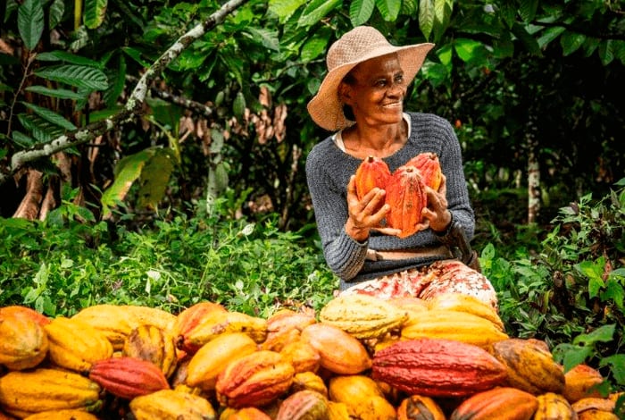 A importância da biodiversidade 