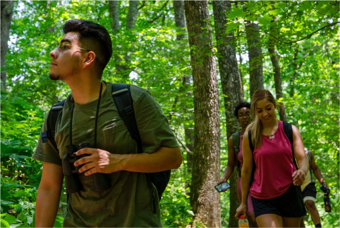 Pessoas caminhando na floresta