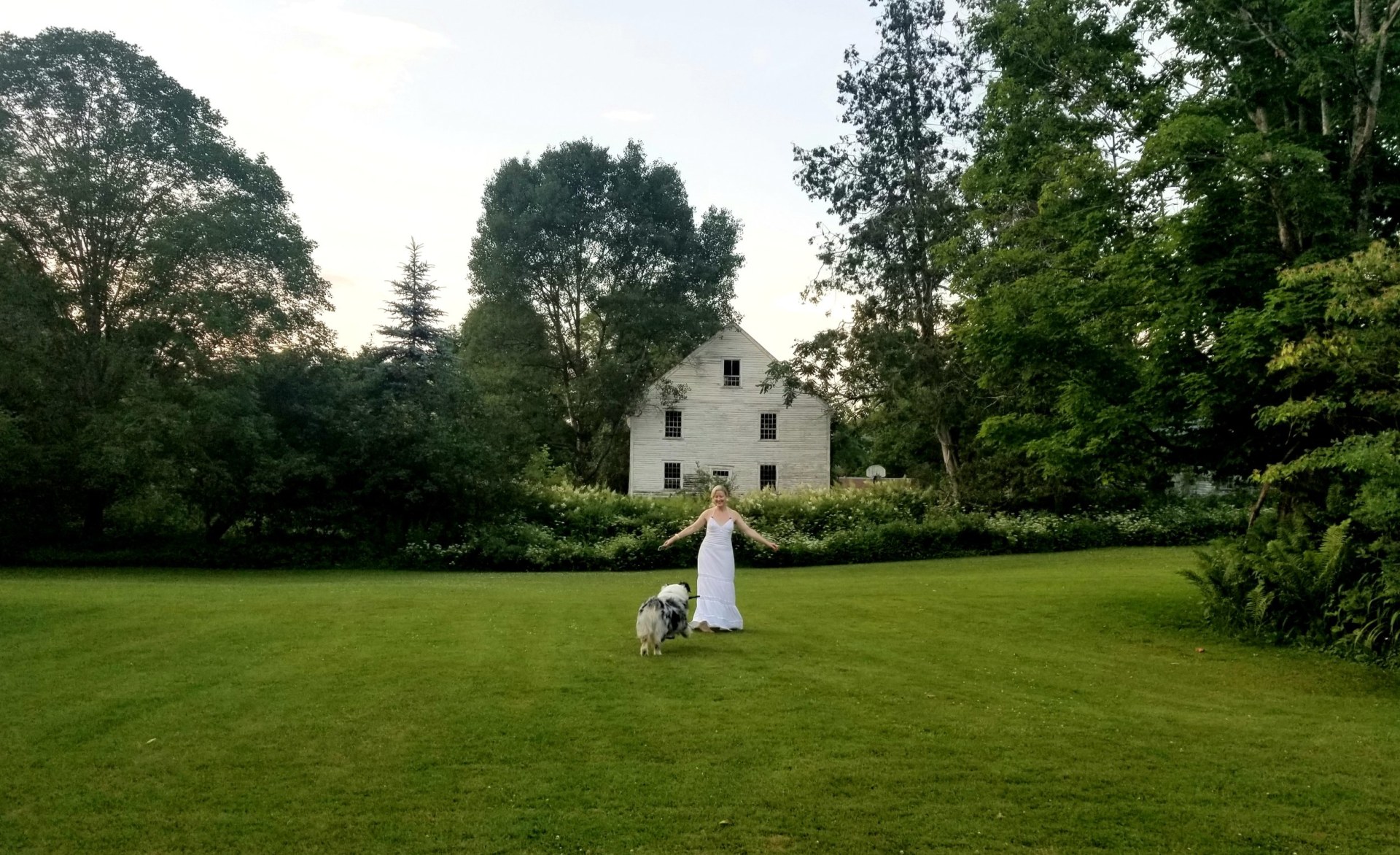 Amanda's Vision