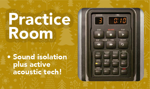 Practice Room: Sound isolation plus active acoustic tech!