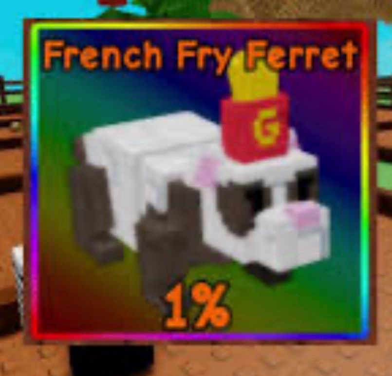 Ferret