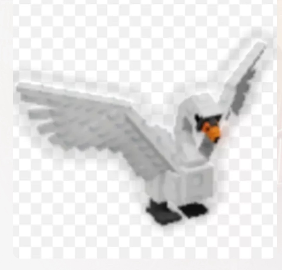 Swan