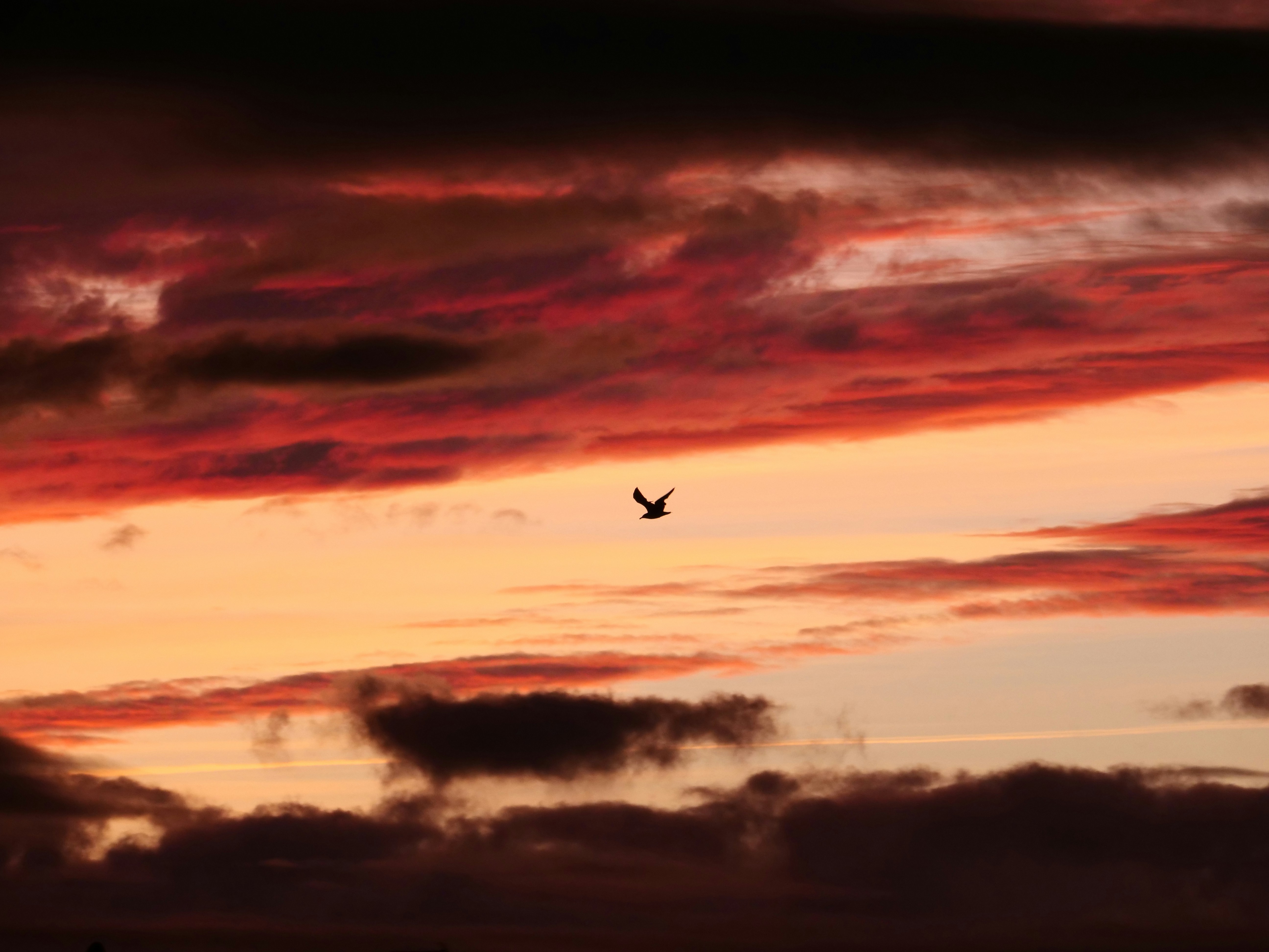 Solo dans le ccouché de soleil