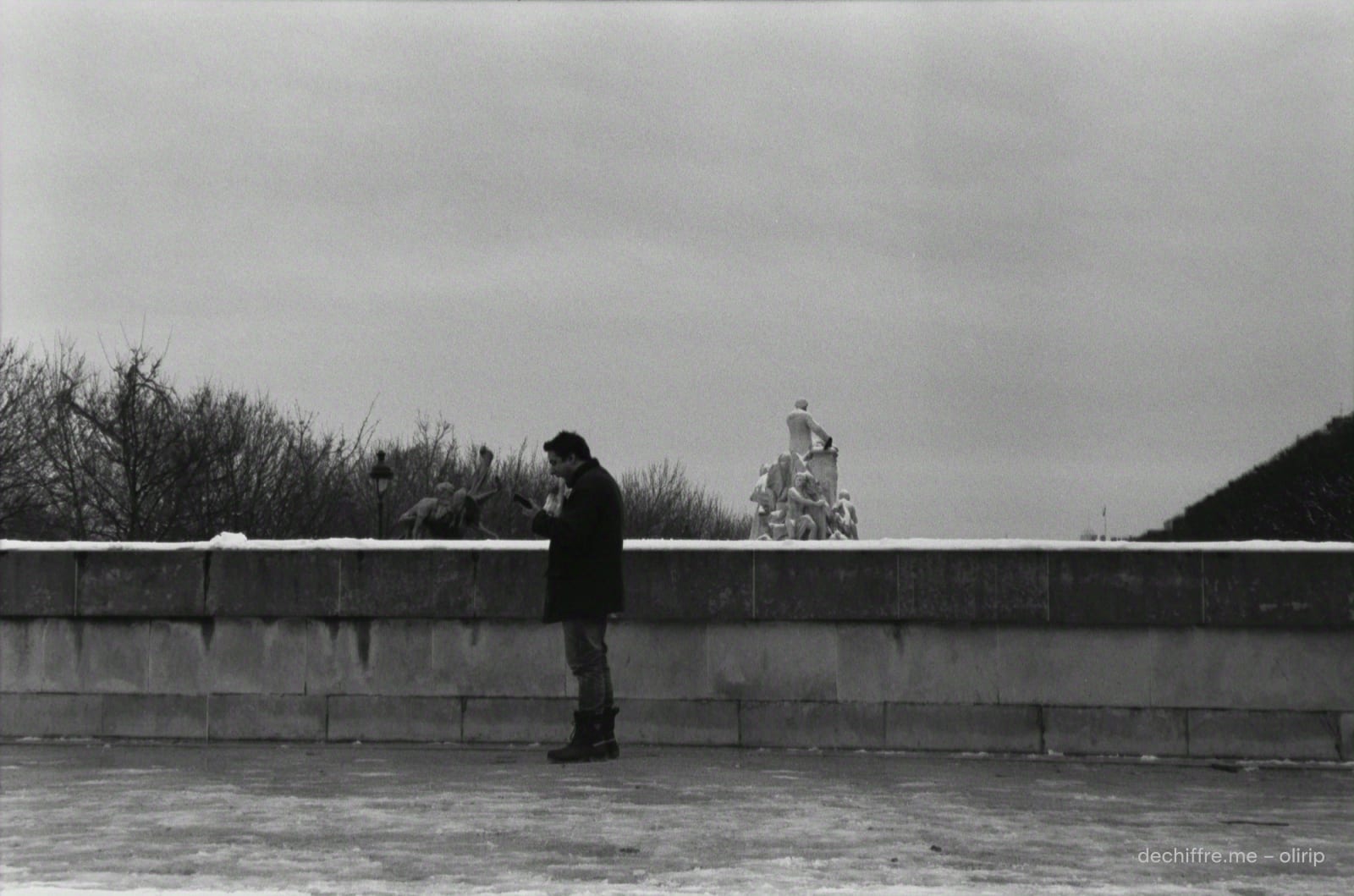 2013 — photo 13