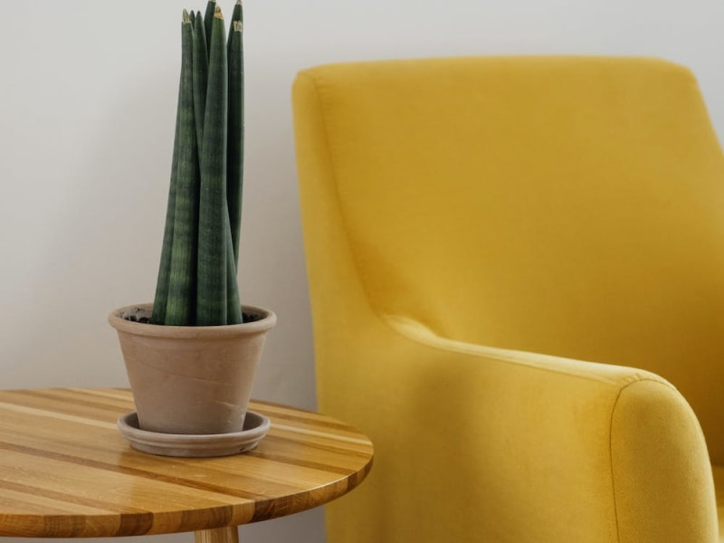 chair-and-coffee-table