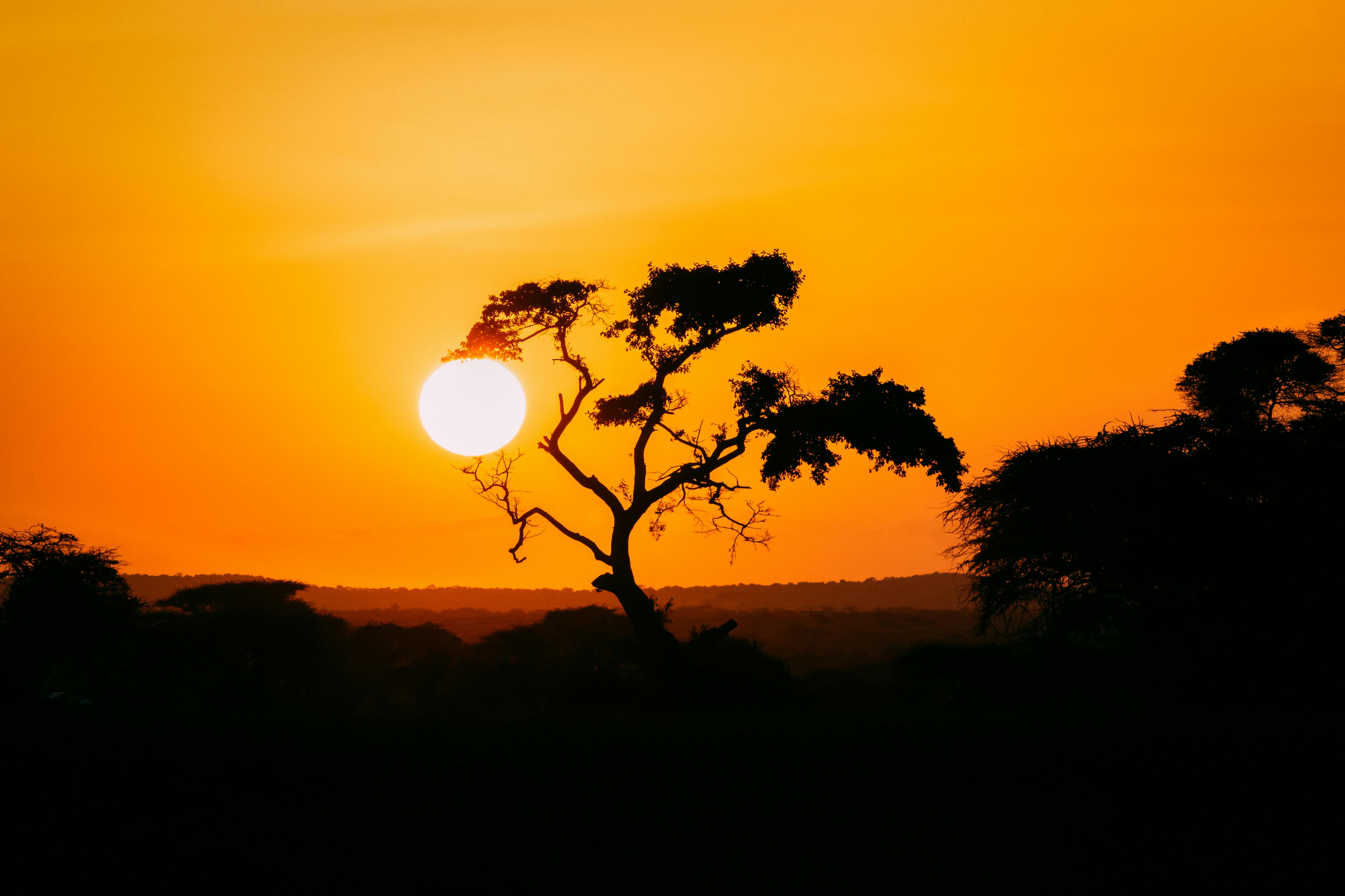 Saveurs Africaines