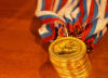 ЕАО 2021 год принёс 17 золотых медалей различных всероссийских и межрегиональных соревнований