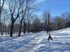 Выйти из спячки раньше, чем обычно могут клещи в ЕАО