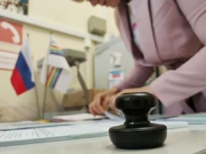 Выборы депутатов в Еврейской автономной области