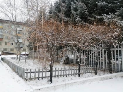 Прогноз погоды на сегодня в Биробиджане