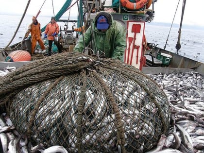 В России рыбопромышленные суда «застряли» на стапелях