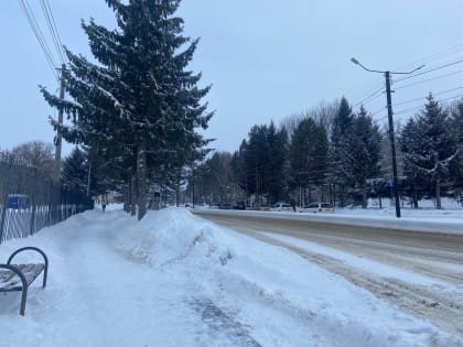 Переменная облачность – прогноз погоды в ЕАО на 13 февраля