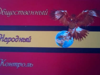«Движение общественный контроль» создано в ЕАО