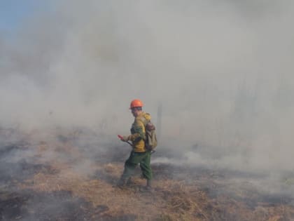 Крупный природный пожар в труднодоступной болотистой местности локализован в ЕАО