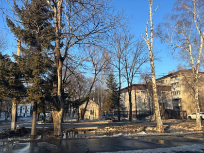 Без осадков пройдёт день в районах автономии – прогноз погоды в ЕАО на 13 марта