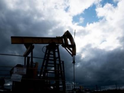 Стало известно, какие меры примет Россия в ответ на введение потолка цен на нефть
