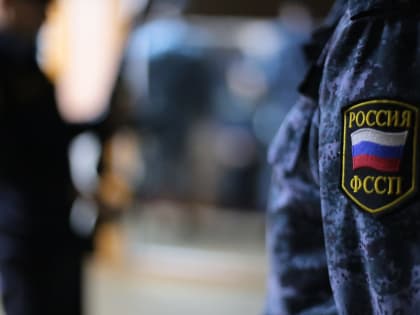 Пожарную безопасность в детском саду обеспечили под контролем приставов в ЕАО