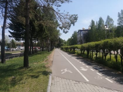 Переменная облачность ожидает районы автономии – прогноз погоды в ЕАО на 25 мая