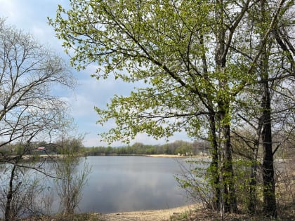 Без осадков пройдёт день в области – прогноз погоды в ЕАО на 15 мая