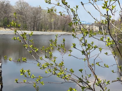 Переменная облачность ожидает районы автономии – прогноз погоды в ЕАО на 13 мая