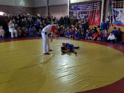 Турнир по самбо, посвящённый Дню Защитника Отечества, прошёл в столице ЕАО