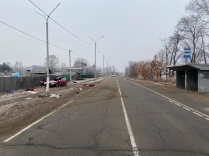 Виновник "пьяного" ДТП с погибшим ребенком заключен под стражу в ЕАО