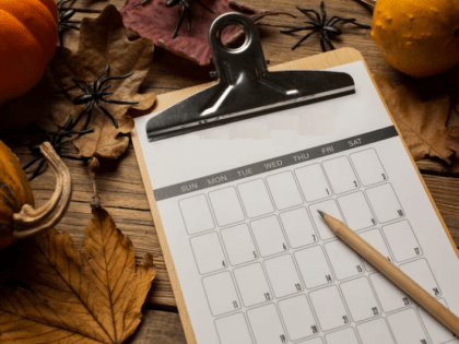 Праздничные события 29 октября