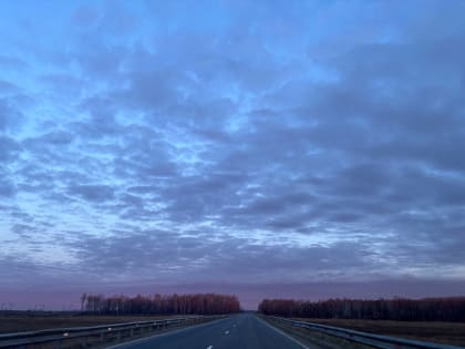 Без осадков начнётся рабочая неделя в автономии – прогноз погоды в ЕАО на 20 мая