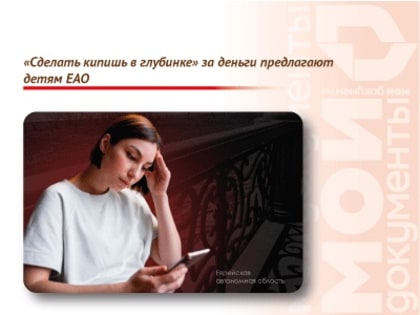 «Сделать кипишь в глубинке» за деньги предлагают детям ЕАО