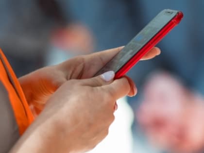 Специи для укрепления иммунитета