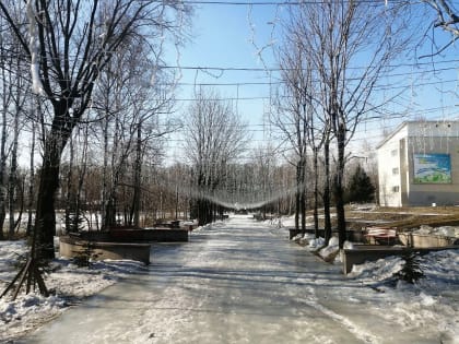 Без осадков пройдёт день в районах области – прогноз погоды в ЕАО на 19 марта