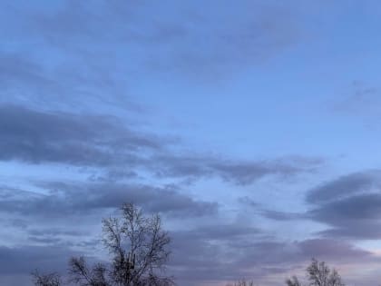 Пасмурно и с дождём пройдет день – прогноз погоды в ЕАО на 24 апреля