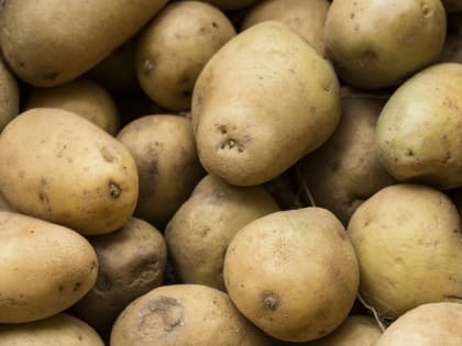 Фермеры ЕАО освобождаются от сельхозналога на три года