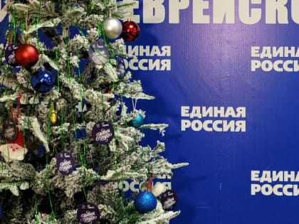 Региональный исполком партии «Единая Россия» в ЕАО принял участие в «Елке Желаний»