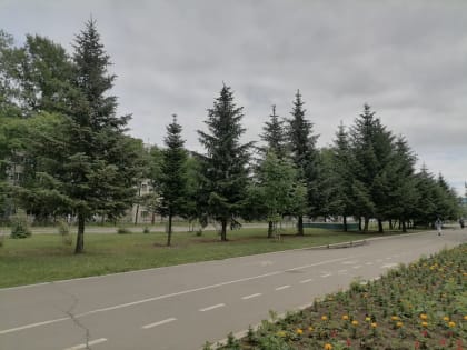 Дождливый день ожидает районы автономии — прогноз погоды в ЕАО на 15 июня