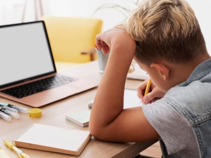 Интеграцию сервисов завершили Сферум и Дневник.ру в ЕАО