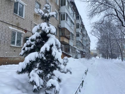Значительно потеплеет в ЕАО – прогноз погоды на 9 марта