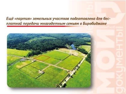 Ещё «партия» земельных участков подготовлена для бесплатной передачи многодетным семьям в Биробиджане