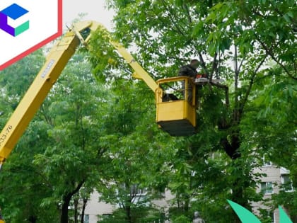 Флору Биробиджана приводят в порядок