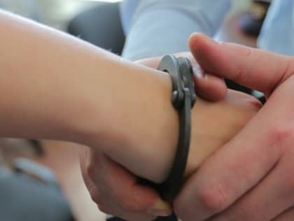 За кражу телефона у собутыльника "отдохнет" в колонии рецидивистка из с. Валдгейм ЕАО