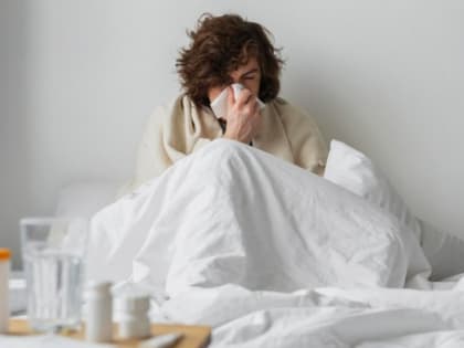 Гонконгский грипп захватил ЕАО: 265 зараженных только по официальным данным