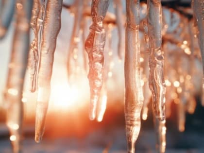 В ЕАО существенно потеплело - надолго ли, рассказали синоптики 