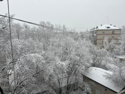 Снег ожидается в ЕАО – прогноз погоды на 19 февраля