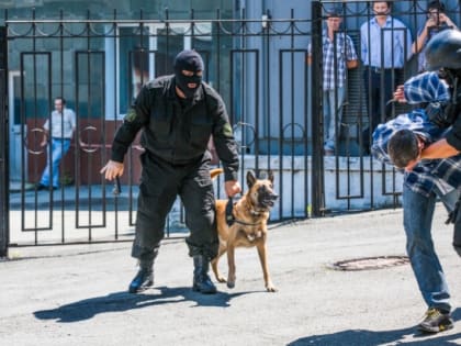 Подпольное "казино" на Русской прикрыли во Владивостоке