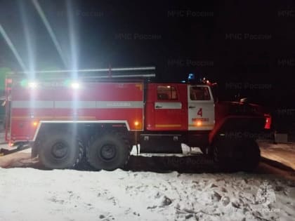При пожаре в п. Николаевка ЕАО погиб человек