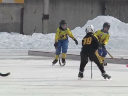 Первенство ЕАО по хоккею с мячом среди игроков младшего возраста прошло на стадионе «Дальсельмаш»