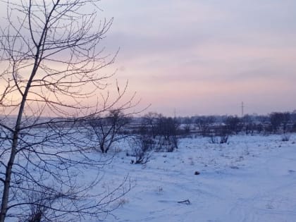 Без осадков пройдёт начало рабочей недели в автономии – прогноз погоды в ЕАО на 4 марта