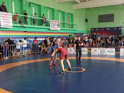 Около 200 спортсменов собрал Всероссийский турнир по вольной борьбе среди юношей в Биробиджане